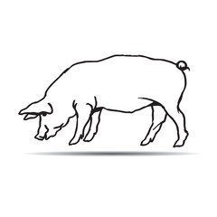Black hand drawn pig. Vector Illustration