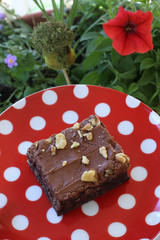 Brownie