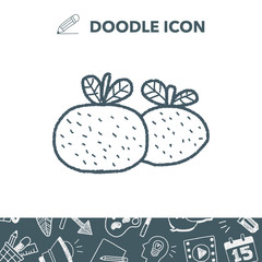 Chinese New Year; Chinese lucky orange