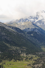 Obraz premium mountain landscape with pine trees and melitng snow