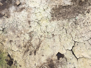 Closeup of dry soil