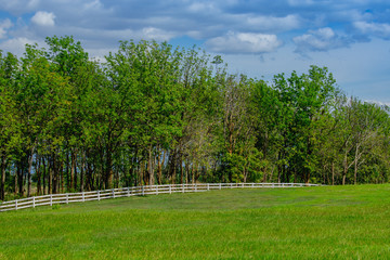 Meadow and forest green with a white picket fence in the middle.