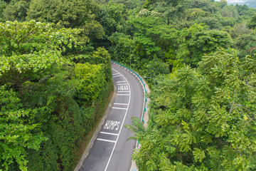 top view of curving road with trees in a public park.