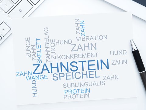 Zahnstein