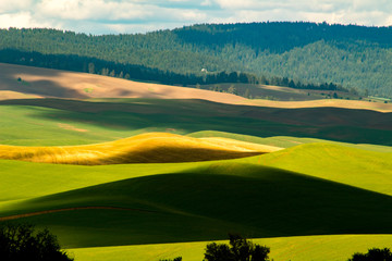 Rolling hills of the Palouse
