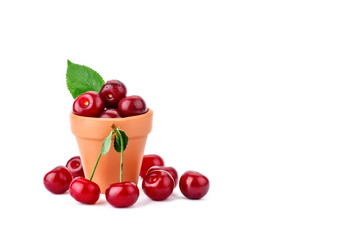 Berries ripe cherry on a white background.
