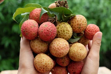 Kissenbezug bunch of litchi fruit or lychee fruits © xuanhuongho