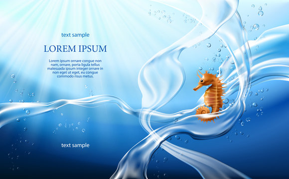 Vector illustration banner with flows and drops of crystal clear water of light blue color and sea horse. Marine background