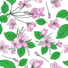 Apple flowers tree blossom, bud, leaf, branch colorful botanical sketch hand drawn isolated on white, seamless vector pattern for greeting card, package design cosmetics wedding invitation, wallpaper