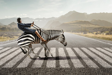 Businesswoman ride zebra. Mixed media