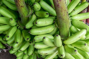 Raw Bananas