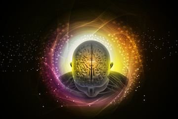 representation of human brain