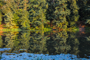 Old pond in park