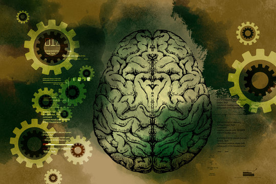 presentation of human brain