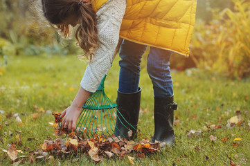 happy kid girl playing little gardener and picking leaves in autumn garden outdoor