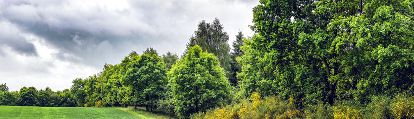 Cloudy panorama landscape with green trees