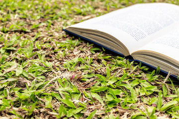old book on green grass with over light in the background