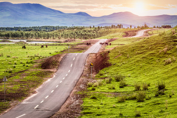Undulating rural roads under the sun.
