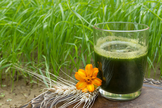 Glass of wheatgrass juice on a brown wooden table