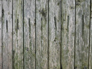 plank fence