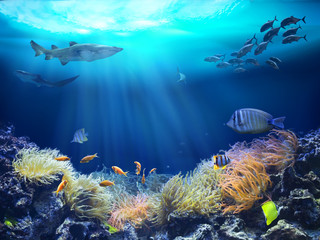 Fototapeta na wymiar Marine life in reef. 3D illustration