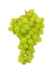 bunch of white grapes