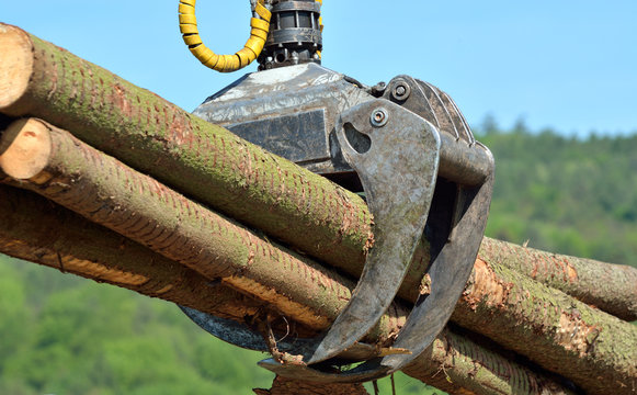forstwirtschaft - holztransport