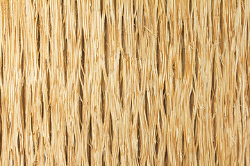 coconut palm tree wood texture background.