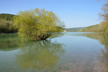 Россия, Крым, озеро около села Баштановка в мае