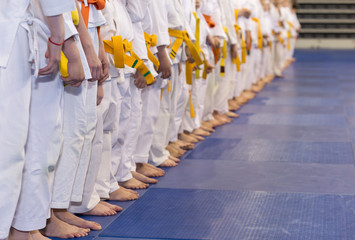 Children in kimono sitanding in a line on martial arts class © Ravil Sayfullin
