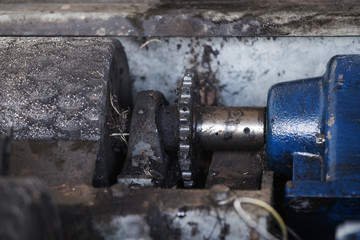 gear of chain with electric motor and roller