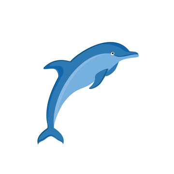 Dolphin vector icon