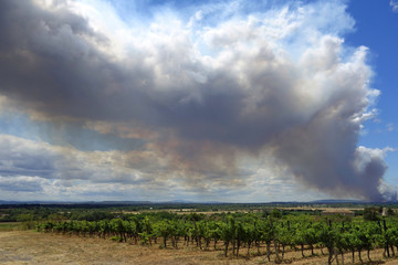 Waldbrand in Südfrankreich © Elke Hötzel