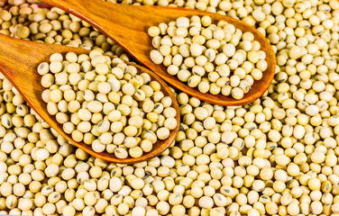 Soy bean in wood spoon full on wooden background,Macro shot of soybeans fills the frame, selective focus,texture,soy milk,soy oil