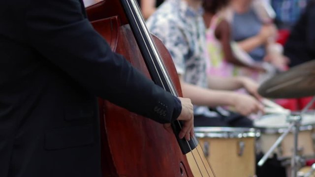 Musician playing contrabass in a outdoors jazz performance.