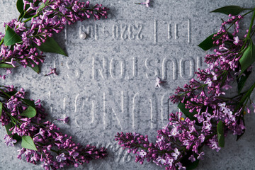 Lilac flowers on metallic background. Rustic concept. Mockup with copy space