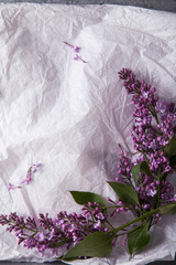 Lilac flowers on parchment paper. Rustic concept. Mockup with copy space