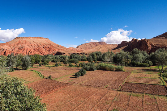 Marokko - Im Dades Tal