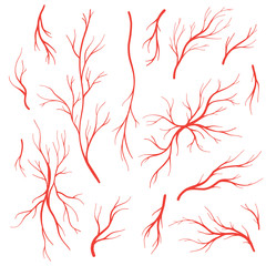 Human blood veins and arteries vector set