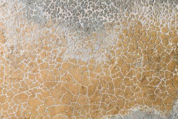 cracked ground for background.