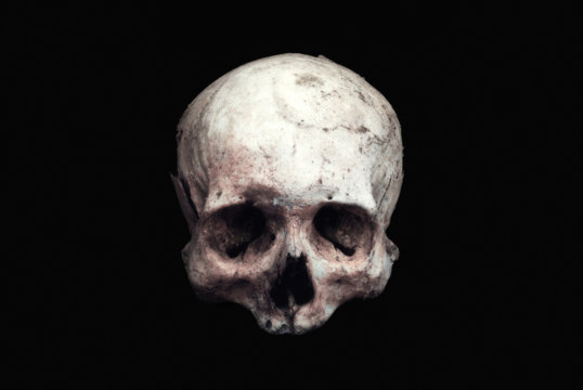 Real human skull on an isolated black background