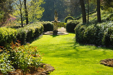 Fototapeta premium Blooming trees in Bardini Garden, Florence, Italy.