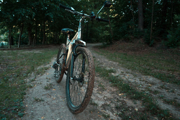 Fototapeta na wymiar Mountain bike on the forest path.