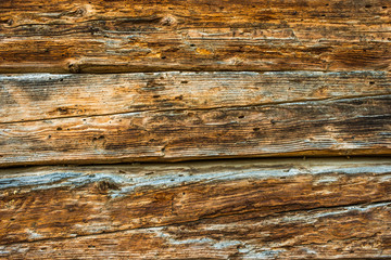 Old wood