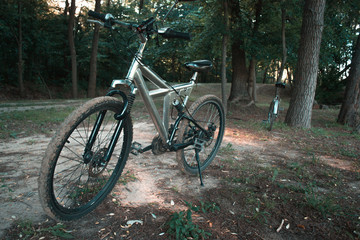 Fototapeta na wymiar Mountain bike on the forest path.