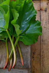 bunch of fresh green organic rhubarb on wooden background. Flat lay.