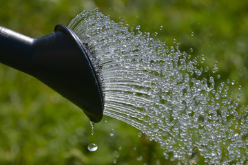 watering - high speed photo