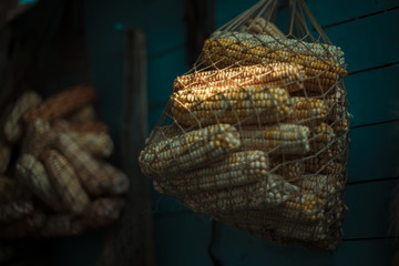 Net with corn cobs on the wall