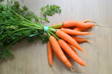 Carrot