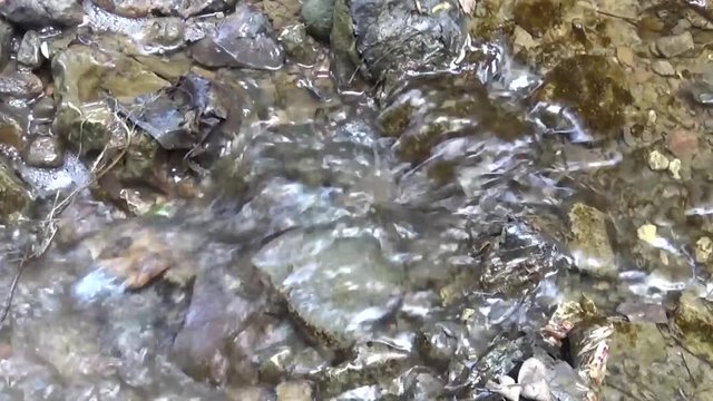 Movement of water in the creek. Stones in the river. The static camera.